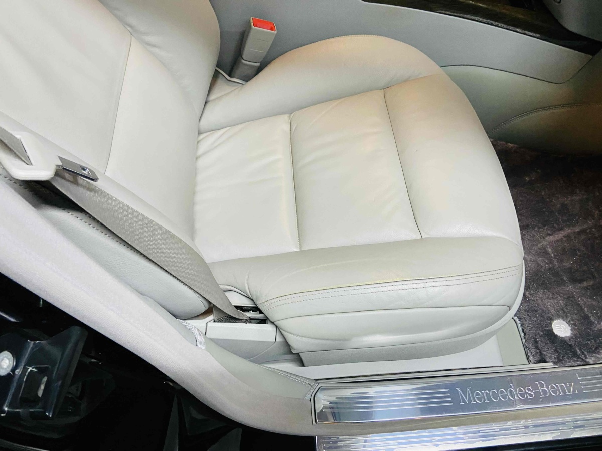 奔驰 奔驰S级  2010款 S 300 L 尊贵型图片