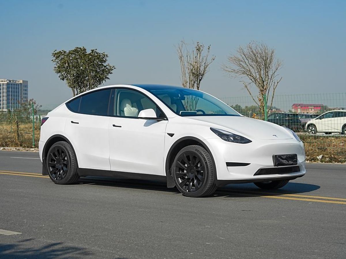 特斯拉 Model 3  2020款 改款 長(zhǎng)續(xù)航后輪驅(qū)動(dòng)版圖片