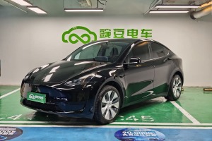 Model Y 特斯拉 后輪驅(qū)動(dòng)版