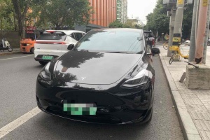 Model 3 特斯拉 后轮驱动版