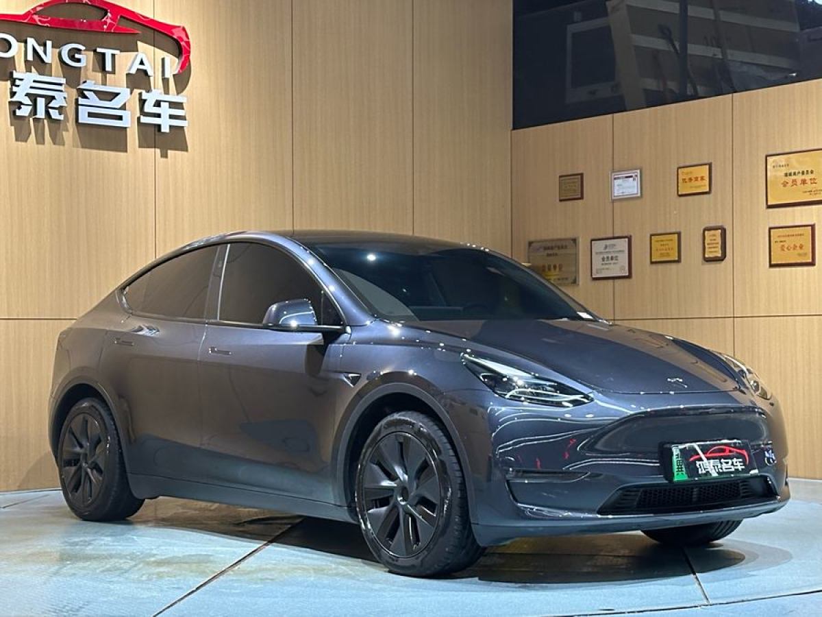 特斯拉 Model Y  2024款 長(zhǎng)續(xù)航全輪驅(qū)動(dòng)版圖片