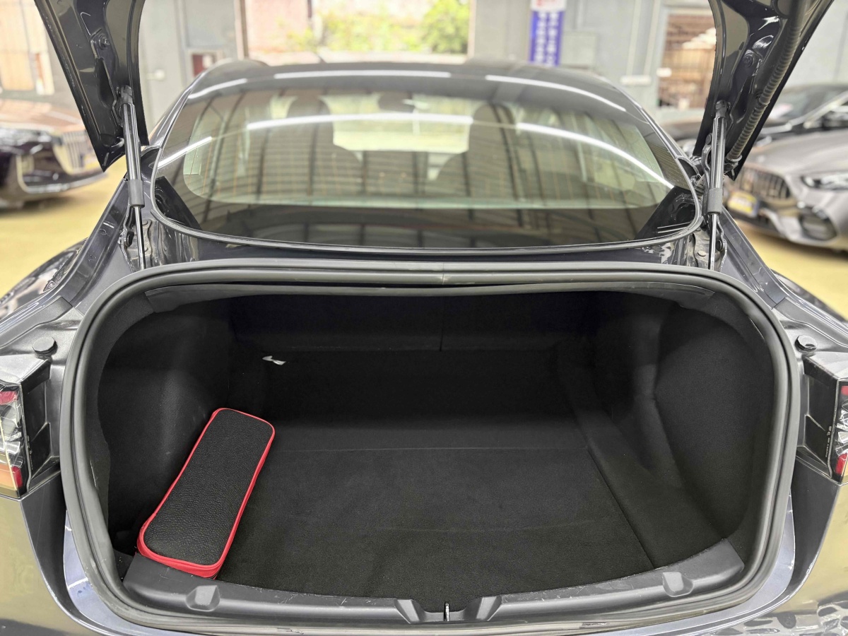 特斯拉 Model 3  2020款 改款 標(biāo)準(zhǔn)續(xù)航后驅(qū)升級(jí)版圖片