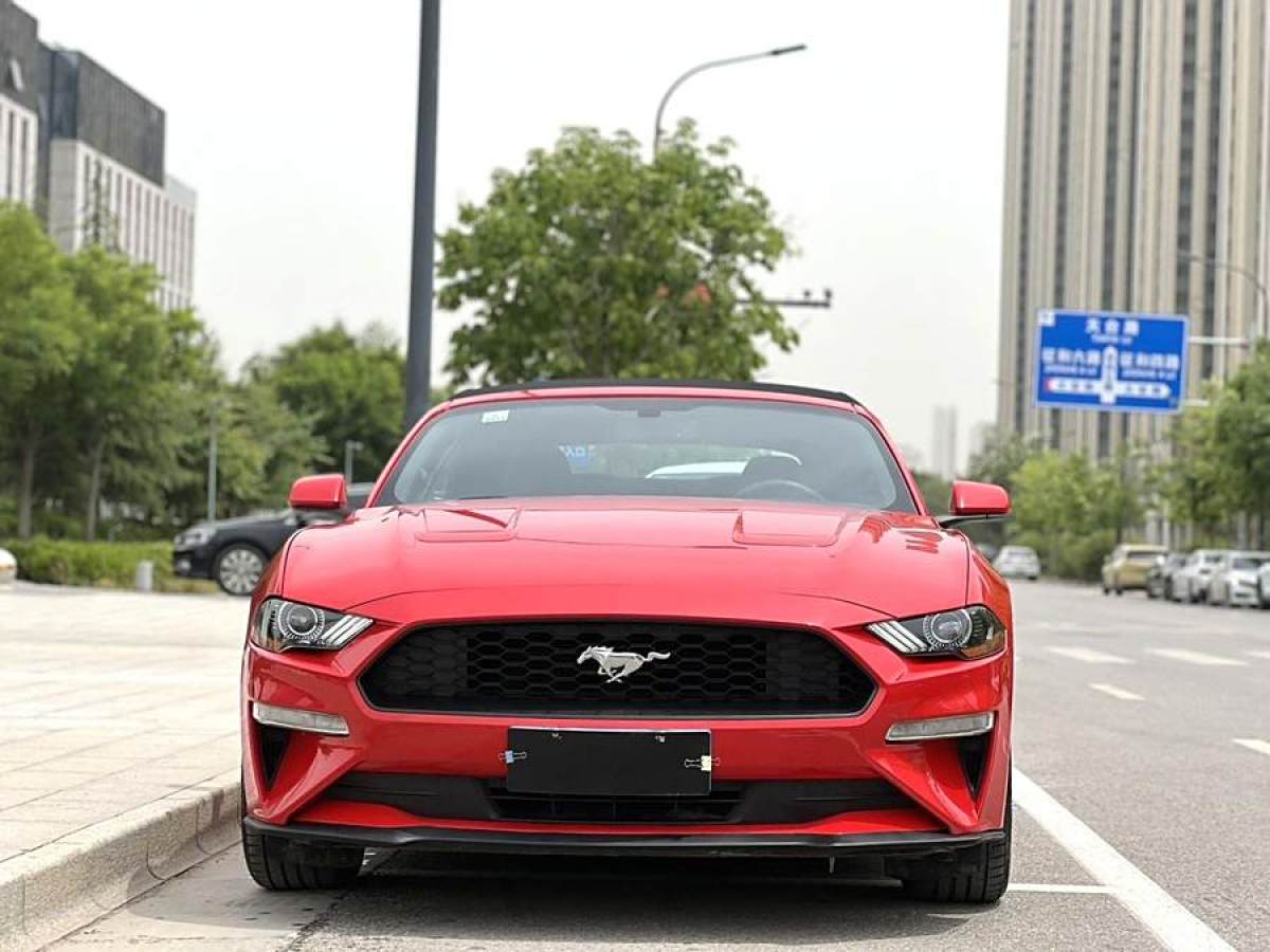 2019年6月福特 Mustang  2019款 2.3L EcoBoost