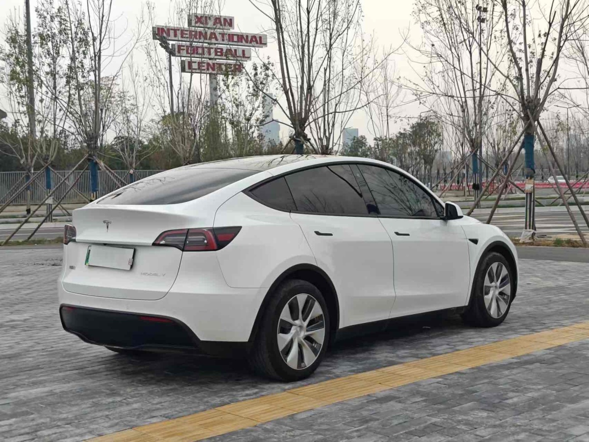 特斯拉 Model Y  2020款 改款 長續(xù)航后輪驅(qū)動版圖片