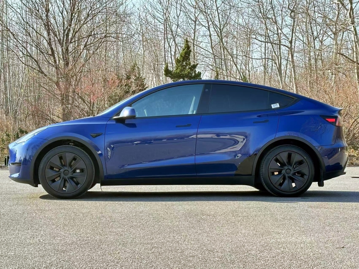 特斯拉 Model Y 24款 標(biāo)準(zhǔn)續(xù)航 后輪驅(qū)動(dòng)版圖片