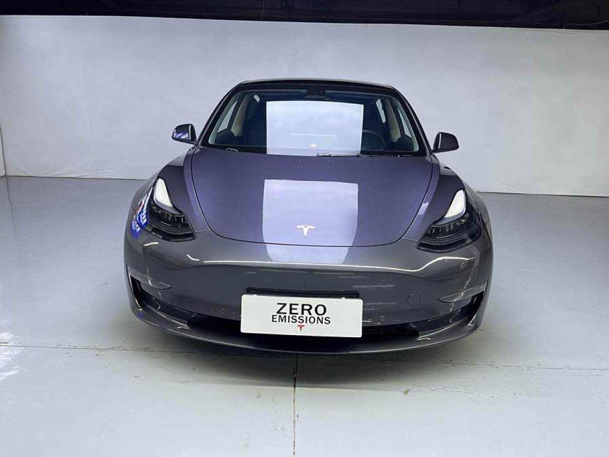 特斯拉 Model Y  2022款 Performance高性能全輪驅(qū)動(dòng)版圖片