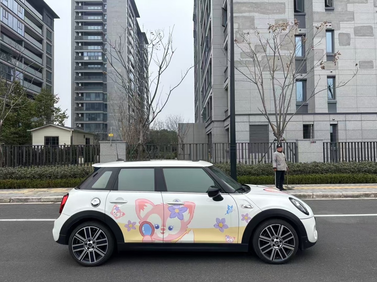 MINI COUNTRYMAN  2020款 2.0T COOPER S ALL4 極地版圖片