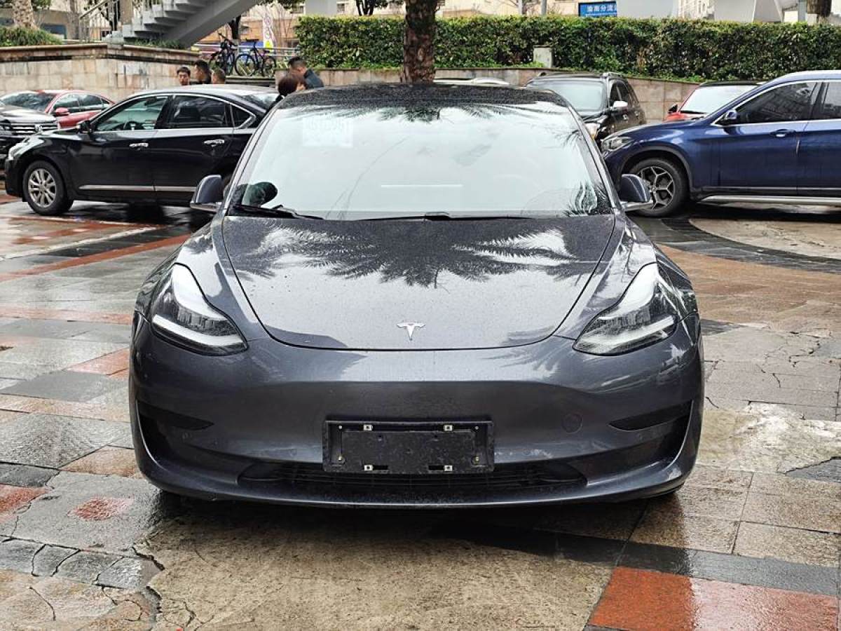 2021年1月特斯拉 Model 3  2020款 改款 標(biāo)準(zhǔn)續(xù)航后驅(qū)升級版