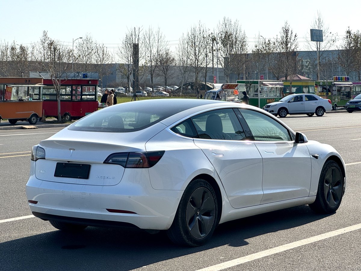 特斯拉 Model 3  2019款 標(biāo)準(zhǔn)續(xù)航后驅(qū)升級(jí)版圖片