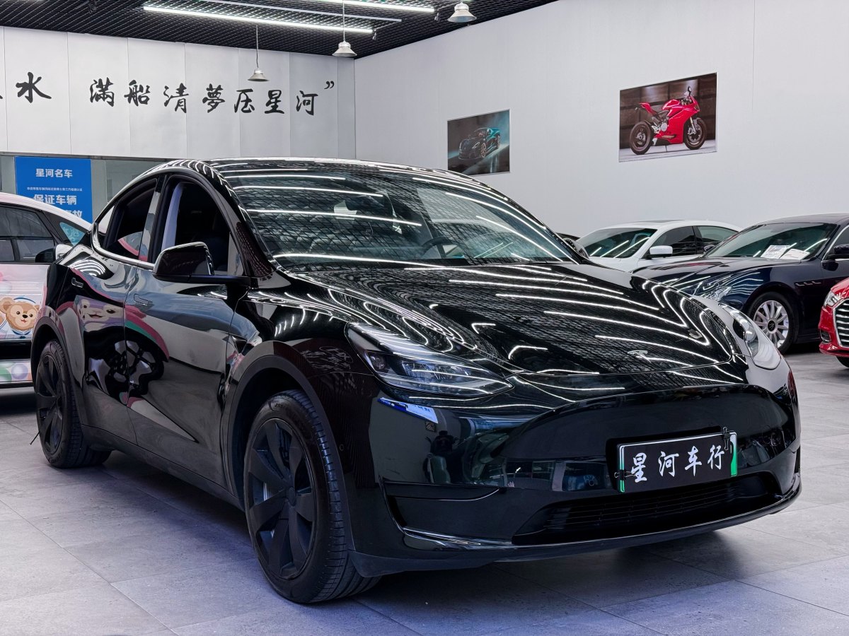 特斯拉 Model Y  2020款 改款 长续航后轮驱动版图片