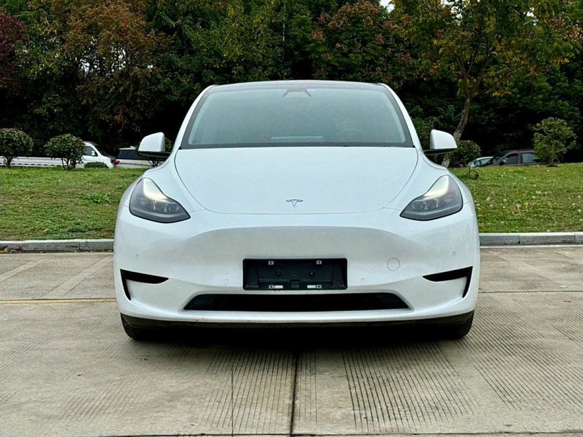 特斯拉 Model 3  2020款 改款 長(zhǎng)續(xù)航后輪驅(qū)動(dòng)版圖片