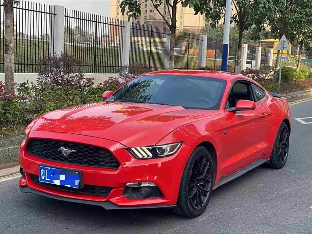 福特 Mustang  2015款 2.3T 性能版圖片