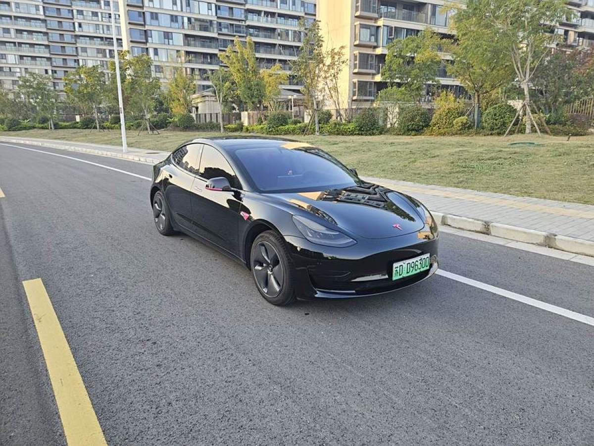 特斯拉 Model 3  2020款 改款 標(biāo)準(zhǔn)續(xù)航后驅(qū)升級版圖片