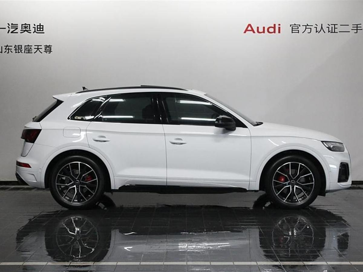 奧迪 奧迪SQ5  2014款 SQ5 3.0 TFSI quattro圖片