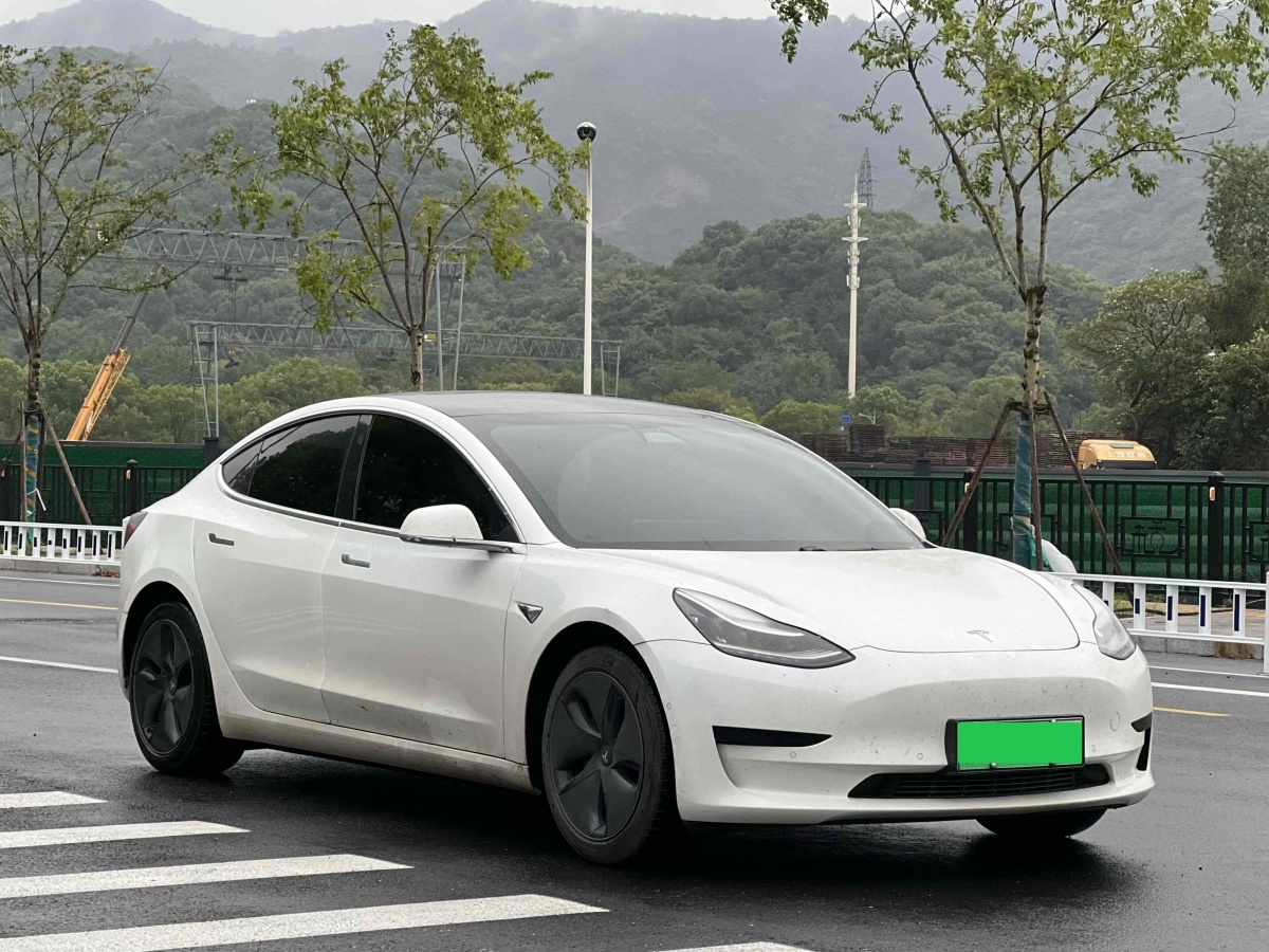 特斯拉 Model 3  2019款 標(biāo)準(zhǔn)續(xù)航后驅(qū)升級(jí)版圖片