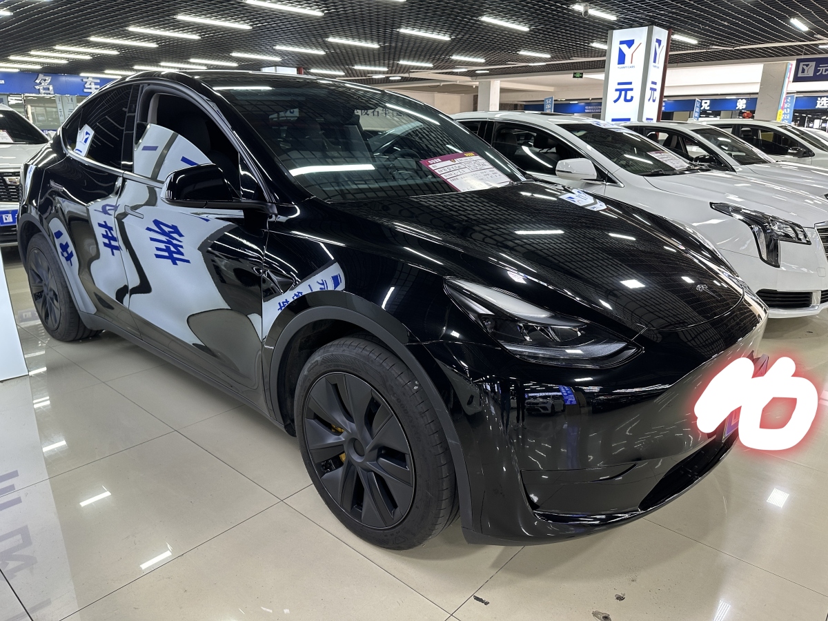 特斯拉 Model Y  2020款 改款 長(zhǎng)續(xù)航后輪驅(qū)動(dòng)版圖片