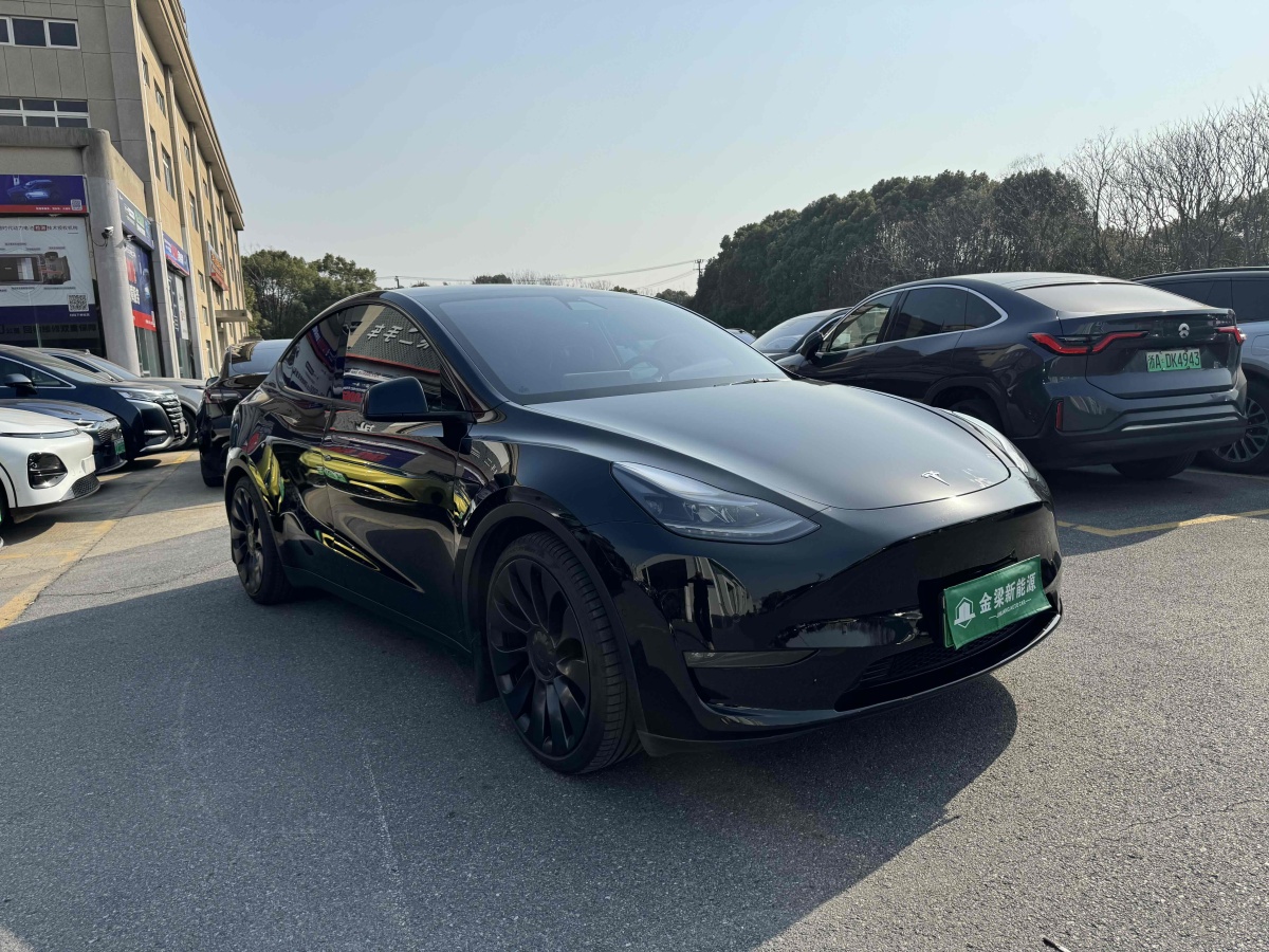 特斯拉 Model 3  2022款 Performance高性能全輪驅(qū)動版圖片