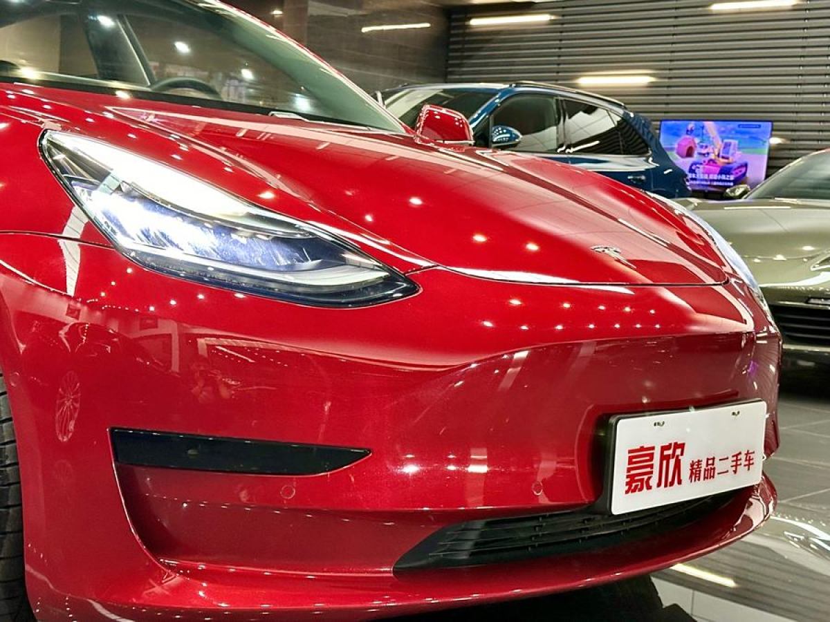 特斯拉 Model 3  2020款 改款 標(biāo)準(zhǔn)續(xù)航后驅(qū)升級(jí)版圖片