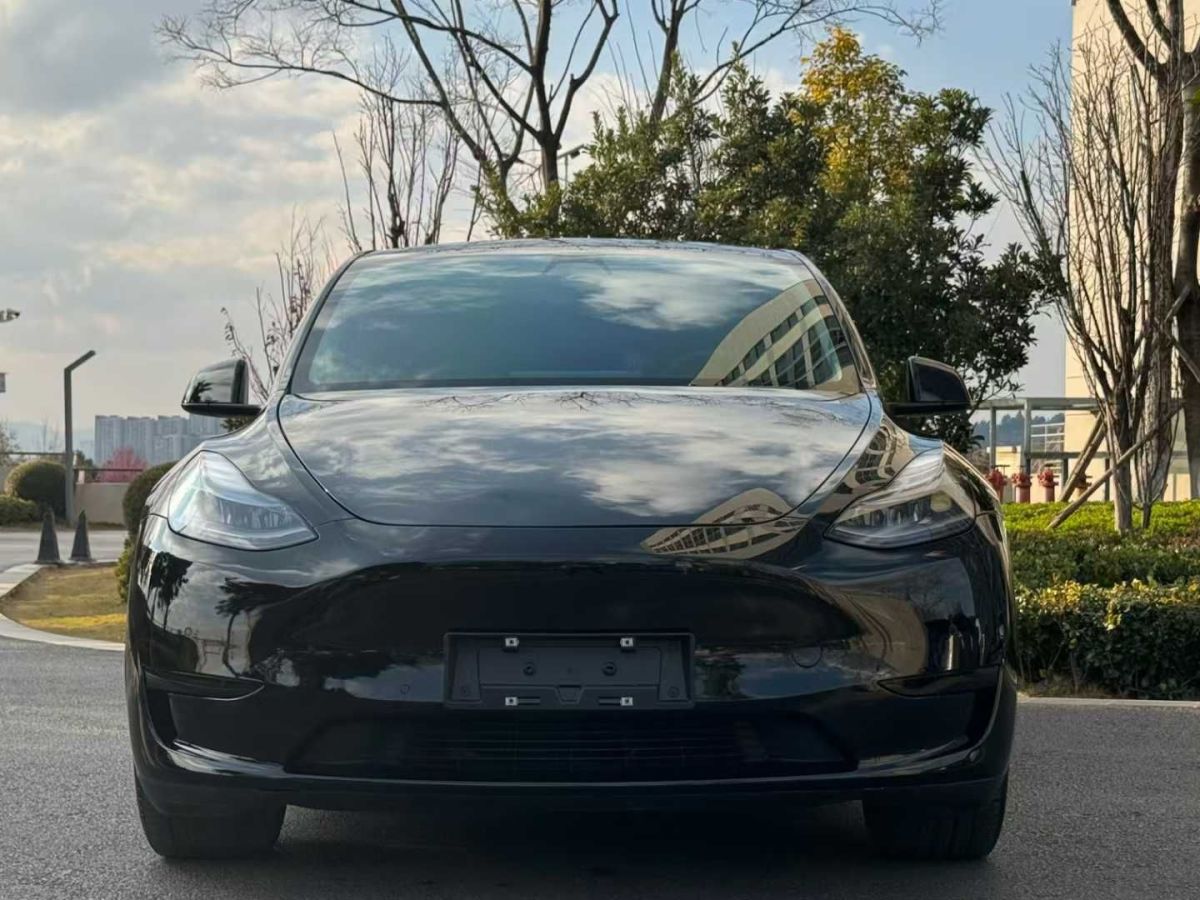 特斯拉 Model S  2023款 三電機(jī)全輪驅(qū)動(dòng) Plaid版圖片