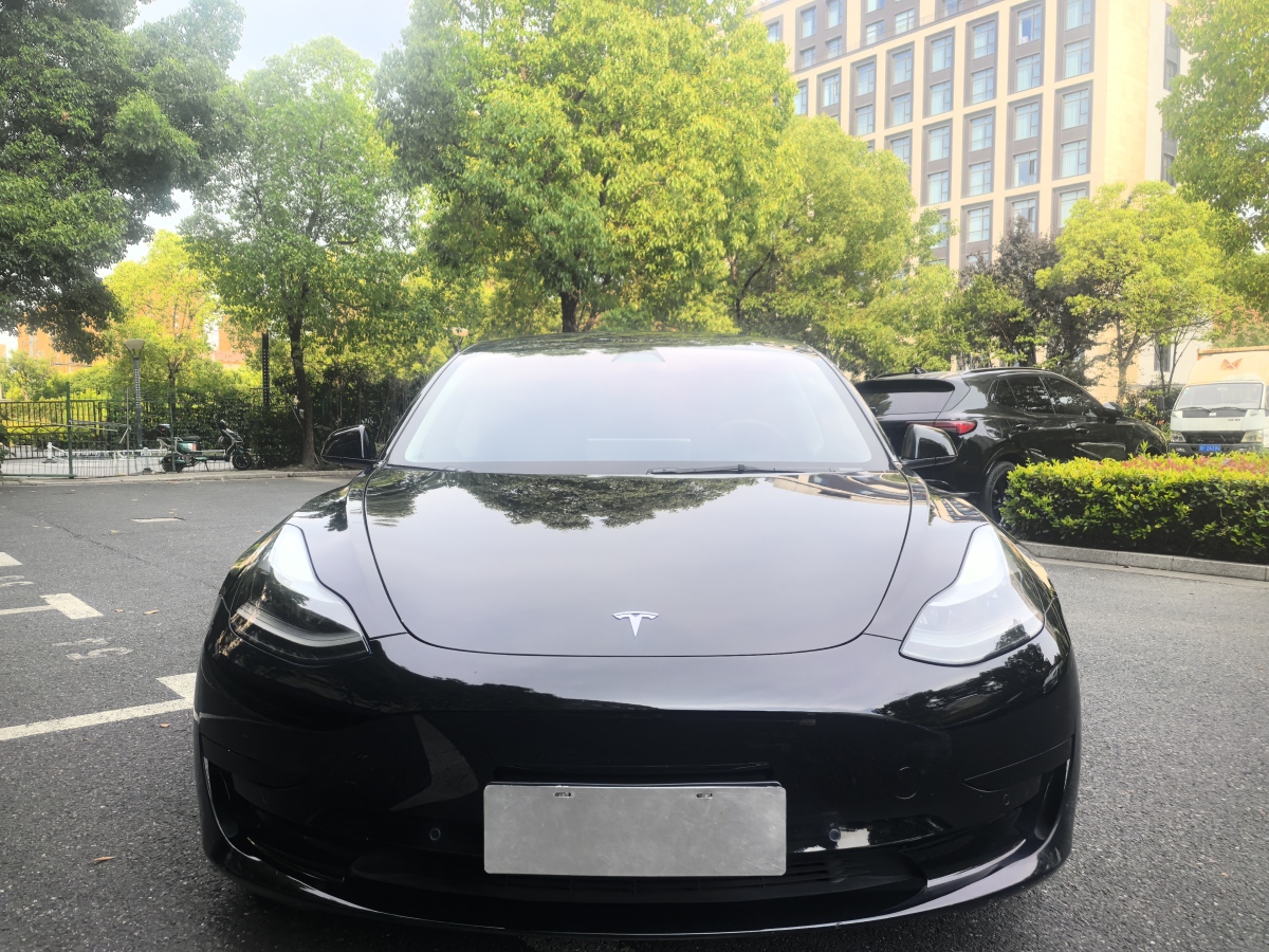 特斯拉 Model 3  2021款 標(biāo)準(zhǔn)續(xù)航后驅(qū)升級版 3D6圖片