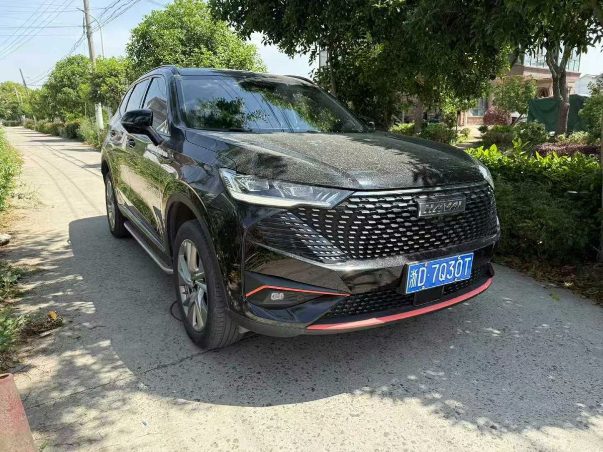 哈弗 H6  2023款 國潮版 1.5T 自動(dòng)冠軍版圖片