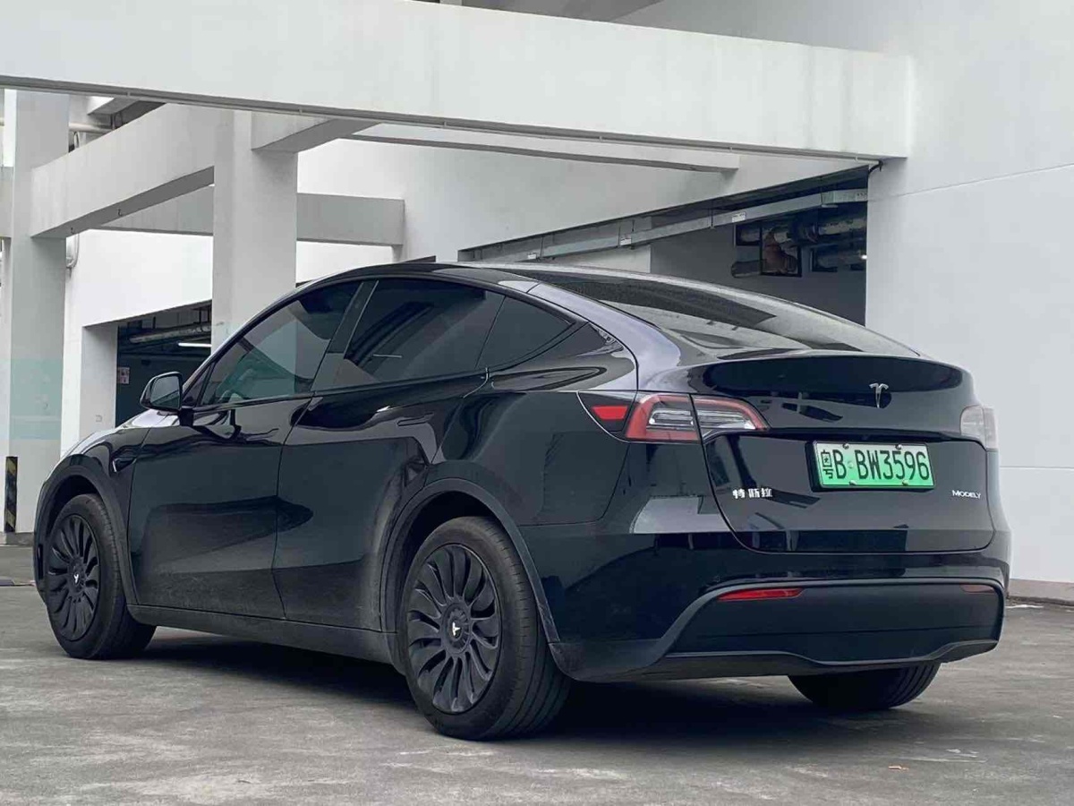 特斯拉 Model 3  2020款 改款 長(zhǎng)續(xù)航后輪驅(qū)動(dòng)版圖片