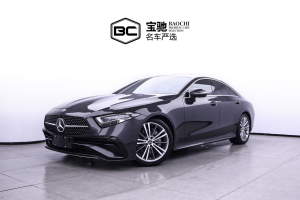 奔驰CLS级 奔驰 CLS 300 动感型