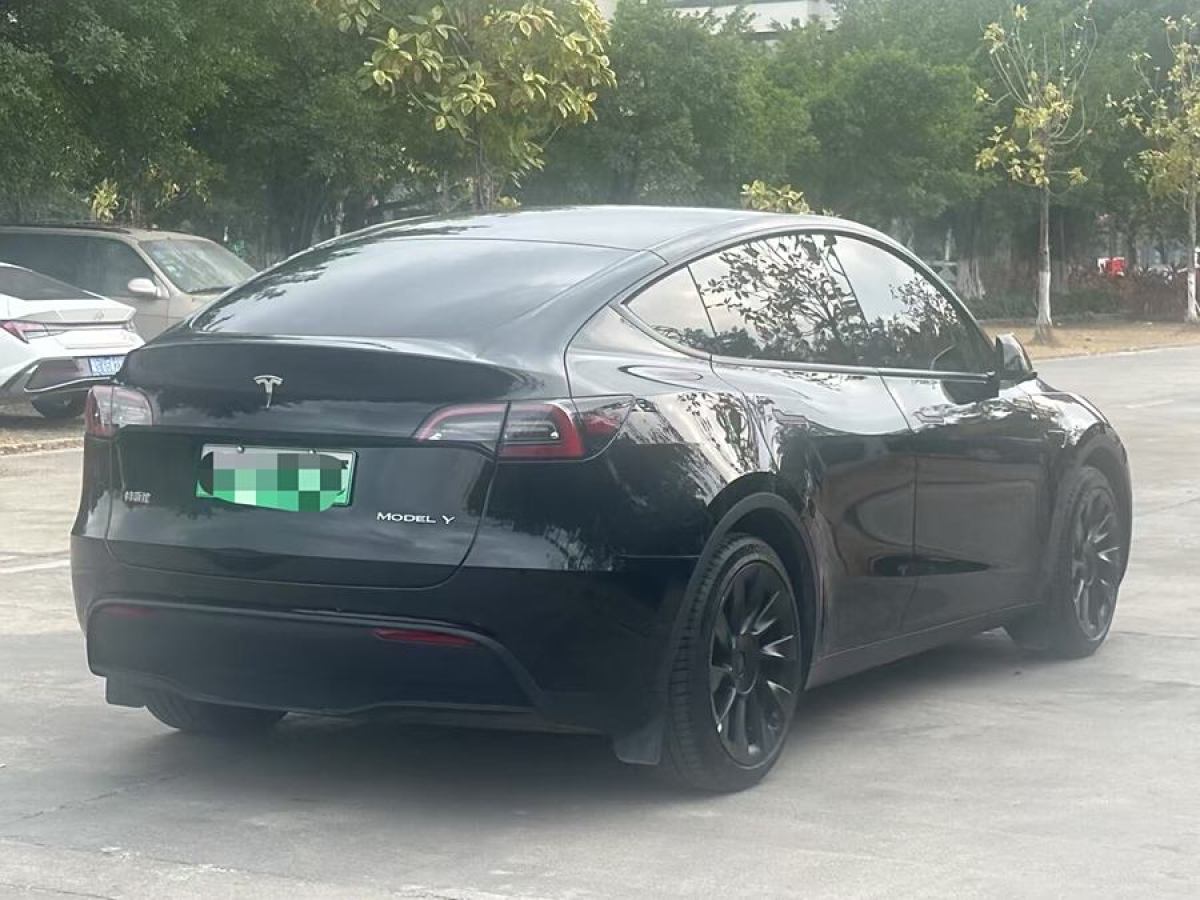 特斯拉 Model 3  2020款 改款 長續(xù)航后輪驅(qū)動版圖片