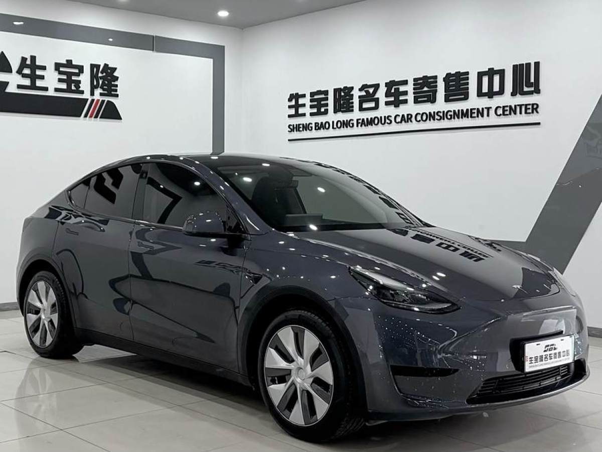 特斯拉 Model 3  2020款 改款 長續(xù)航后輪驅(qū)動(dòng)版圖片