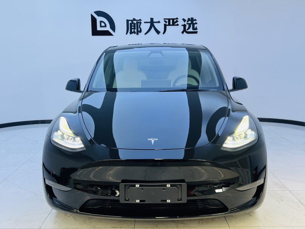 2022年1月特斯拉 Model Y  2021款 改款 標準續(xù)航后驅(qū)升級版