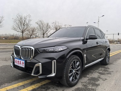 寶馬 寶馬X5 xDrive 30Li M運動套裝圖片