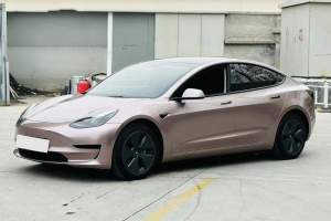 Model 3 特斯拉 標準續(xù)航后驅升級版