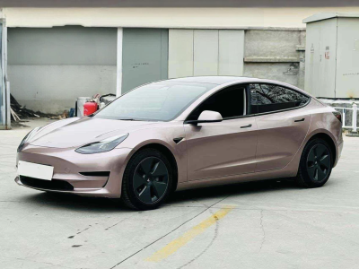 2021年6月 特斯拉 Model 3 標(biāo)準(zhǔn)續(xù)航后驅(qū)升級版圖片