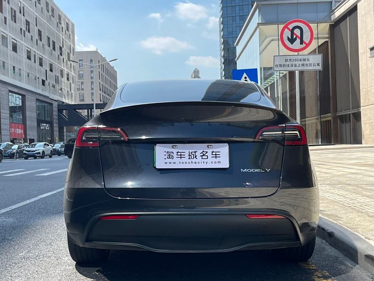 特斯拉 Model Y  2020款 改款 長(zhǎng)續(xù)航后輪驅(qū)動(dòng)版圖片