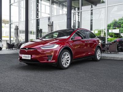 2019年11月 特斯拉 Model X Model X 100D 长续航版图片