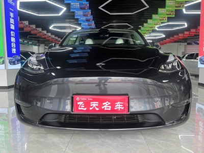 2024年8月 特斯拉 Model Y 长续航全轮驱动版图片