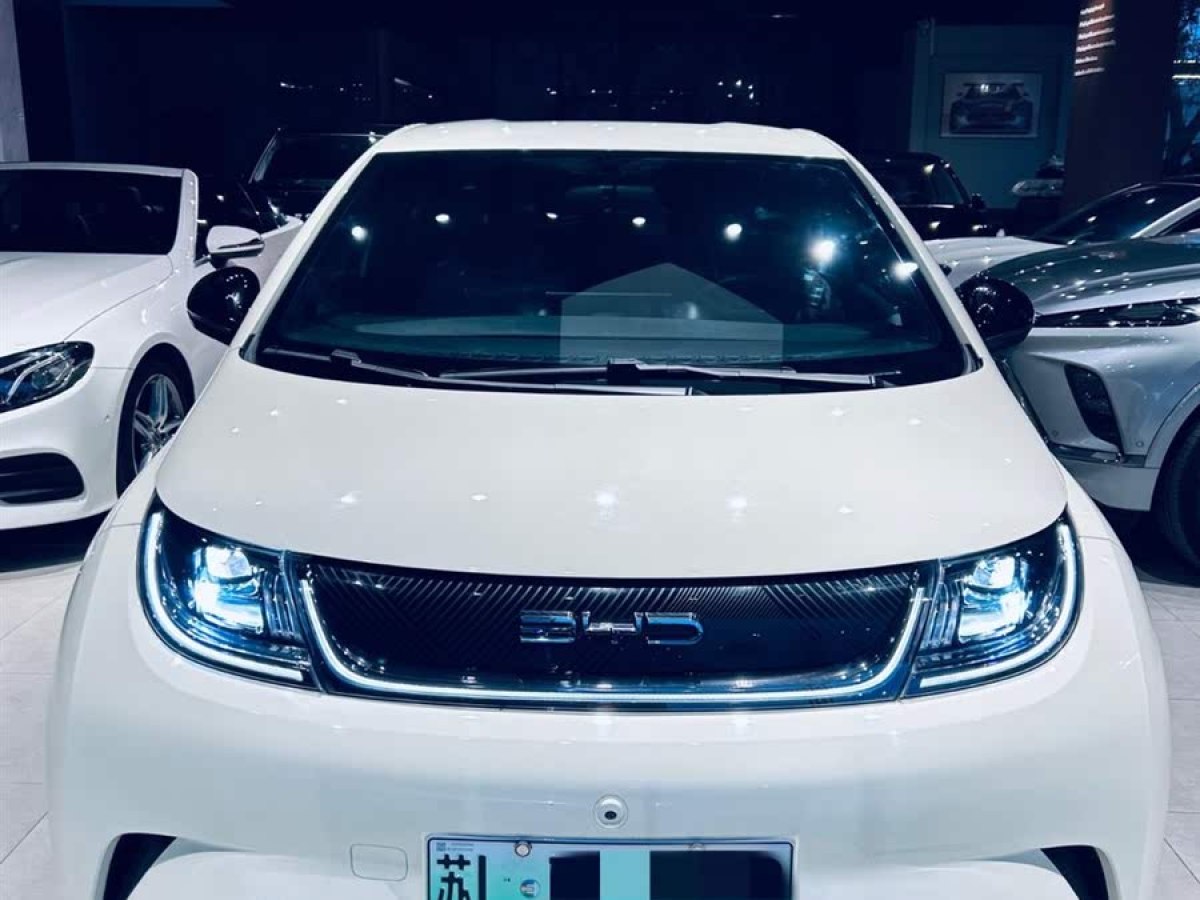 比亞迪 海豚  2023款 420km 自由版圖片