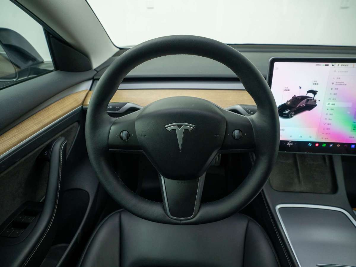 特斯拉 Model 3  2019款 標(biāo)準(zhǔn)續(xù)航后驅(qū)升級(jí)版圖片