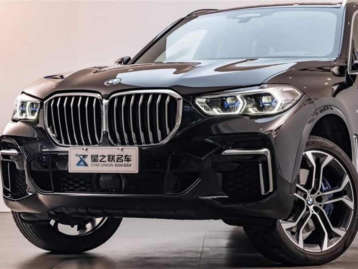 寶馬 寶馬X5  2022款 改款 xDrive 40Li 尊享型M運(yùn)動(dòng)套裝圖片