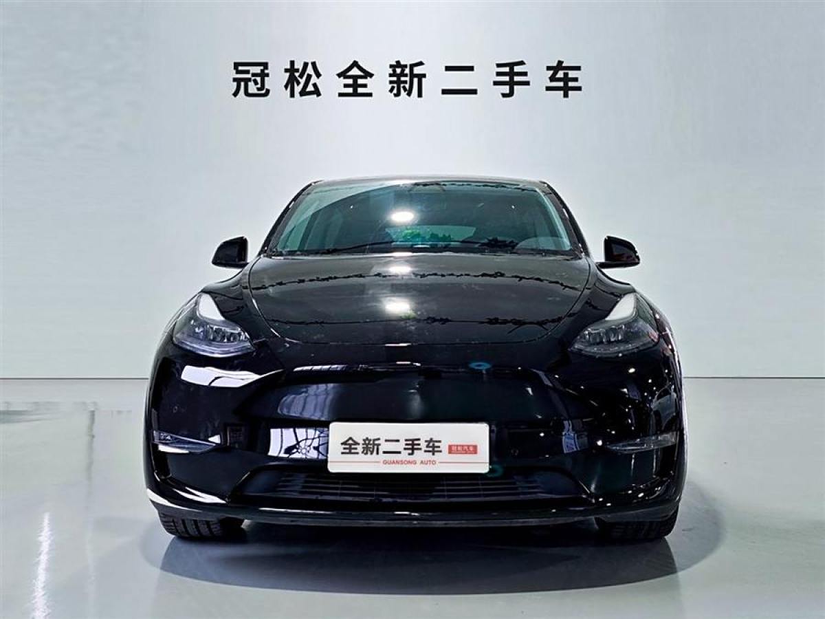 特斯拉 Model Y  2021款 長(zhǎng)續(xù)航全輪驅(qū)動(dòng)版 3D7圖片