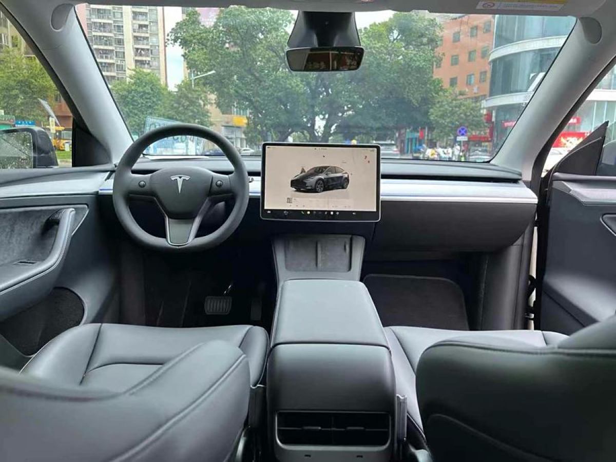 特斯拉 Model Y  2020款 改款 長(zhǎng)續(xù)航后輪驅(qū)動(dòng)版圖片