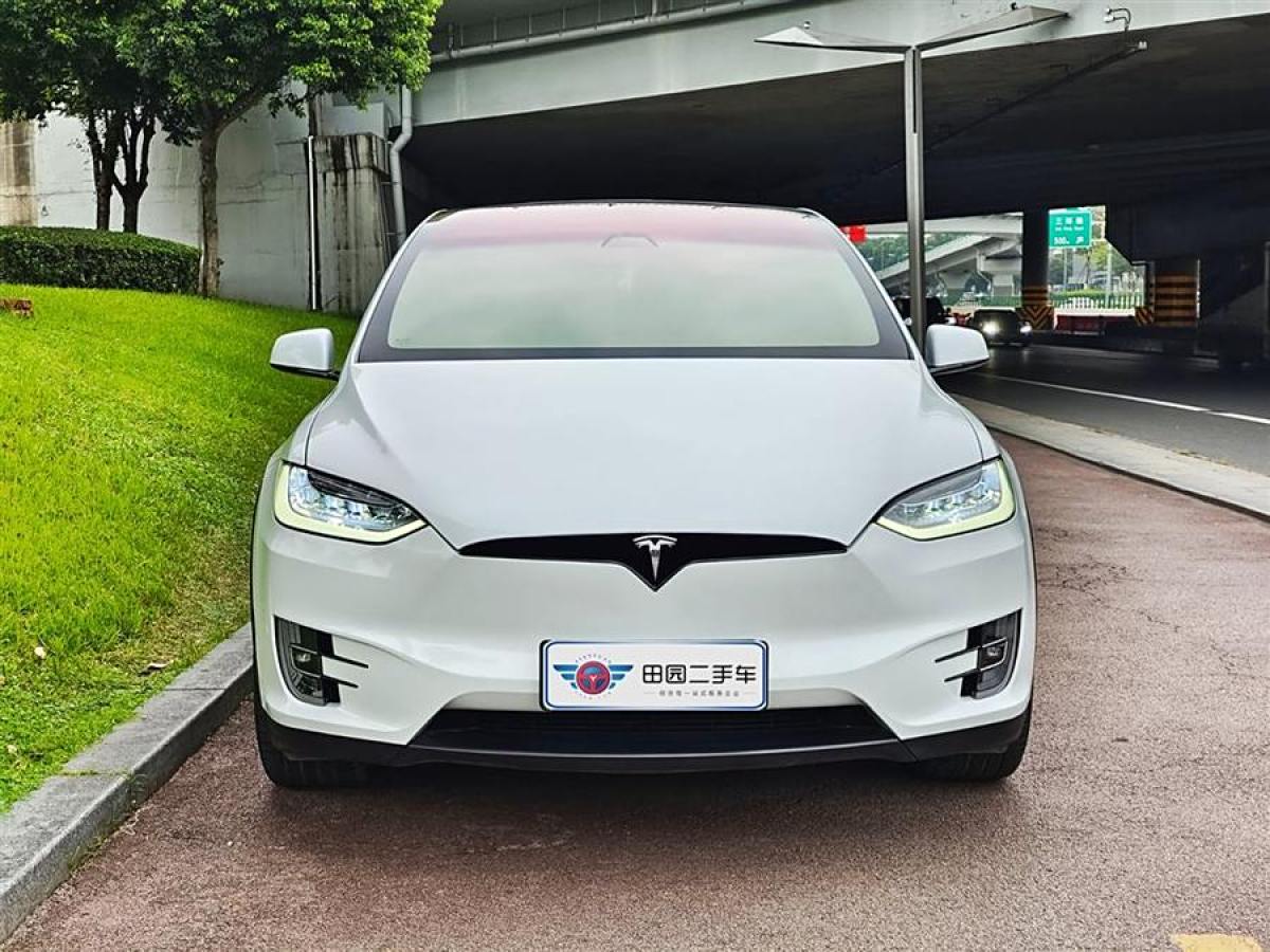 2020年9月特斯拉 Model X  2019款 長續(xù)航版