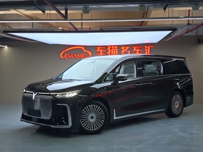 2024年9月 嵐圖 夢想家 PHEV 超長續(xù)航尊貴版圖片