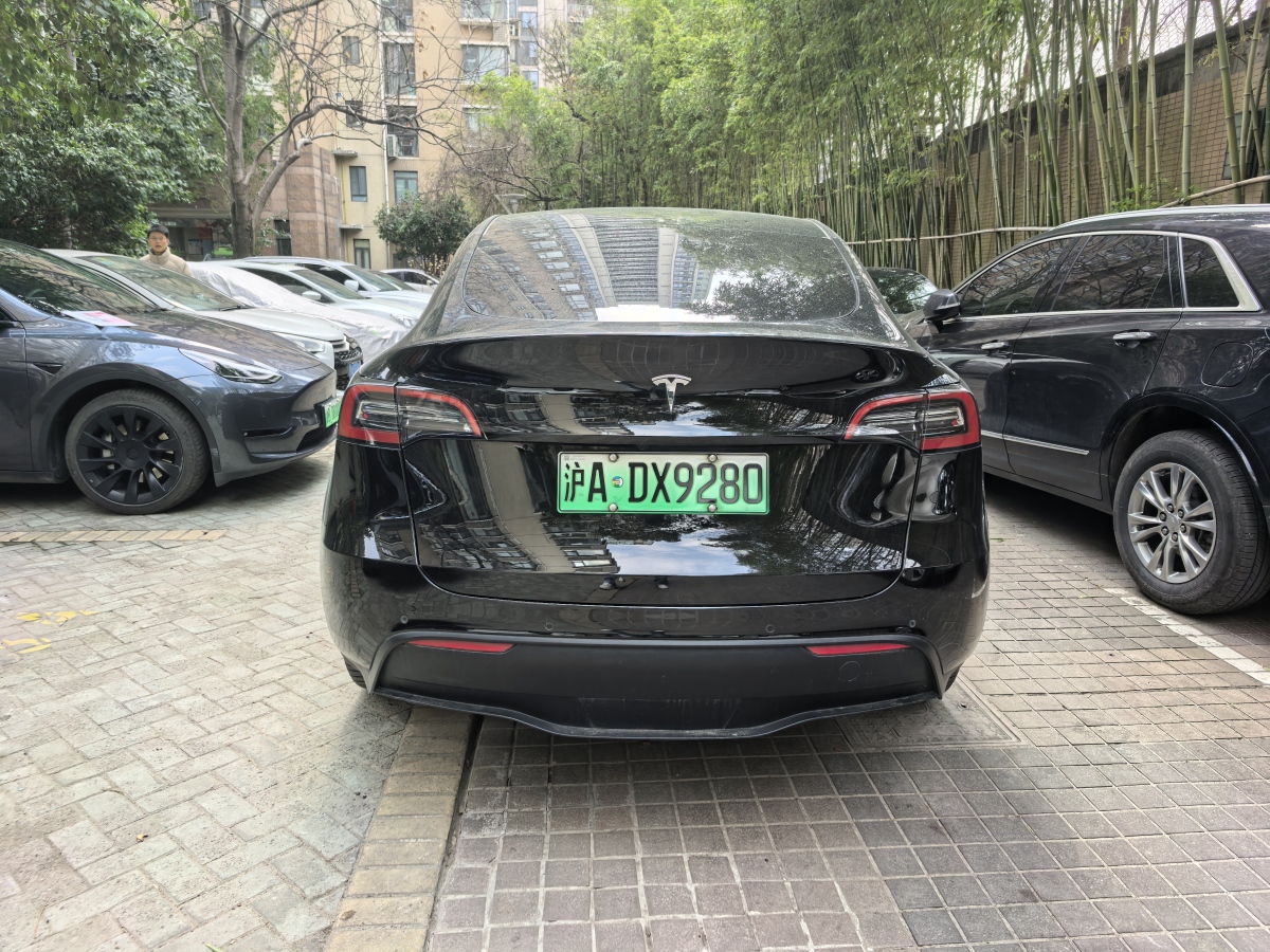 特斯拉 Model Y  2021款 長續(xù)航全輪驅(qū)動(dòng)版 3D7圖片