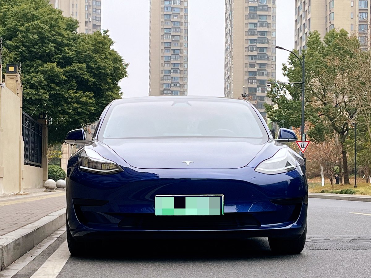 特斯拉 Model 3  2019款 標(biāo)準(zhǔn)續(xù)航后驅(qū)升級(jí)版圖片