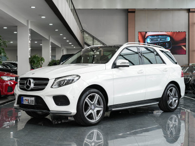 2017年1月 奔馳 奔馳GLE(進(jìn)口) GLE 450 AMG 4MATIC圖片