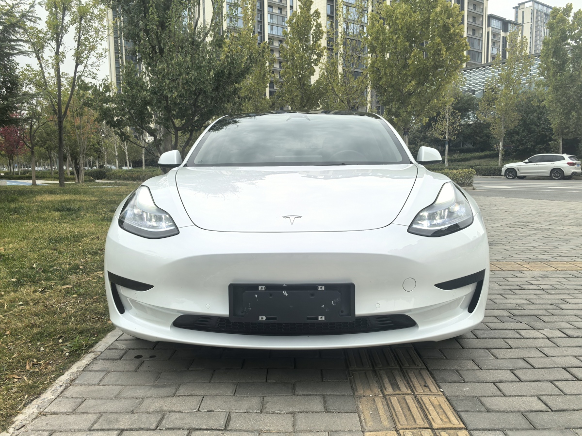 2023年4月特斯拉 Model 3  2022款 改款 后輪驅(qū)動(dòng)版