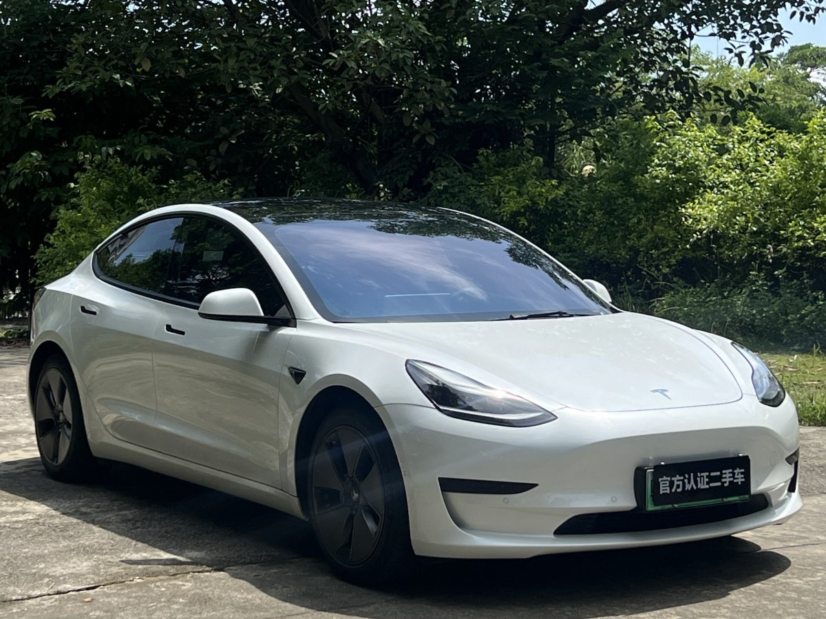 特斯拉 Model 3  2019款 標(biāo)準(zhǔn)續(xù)航后驅(qū)升級(jí)版圖片