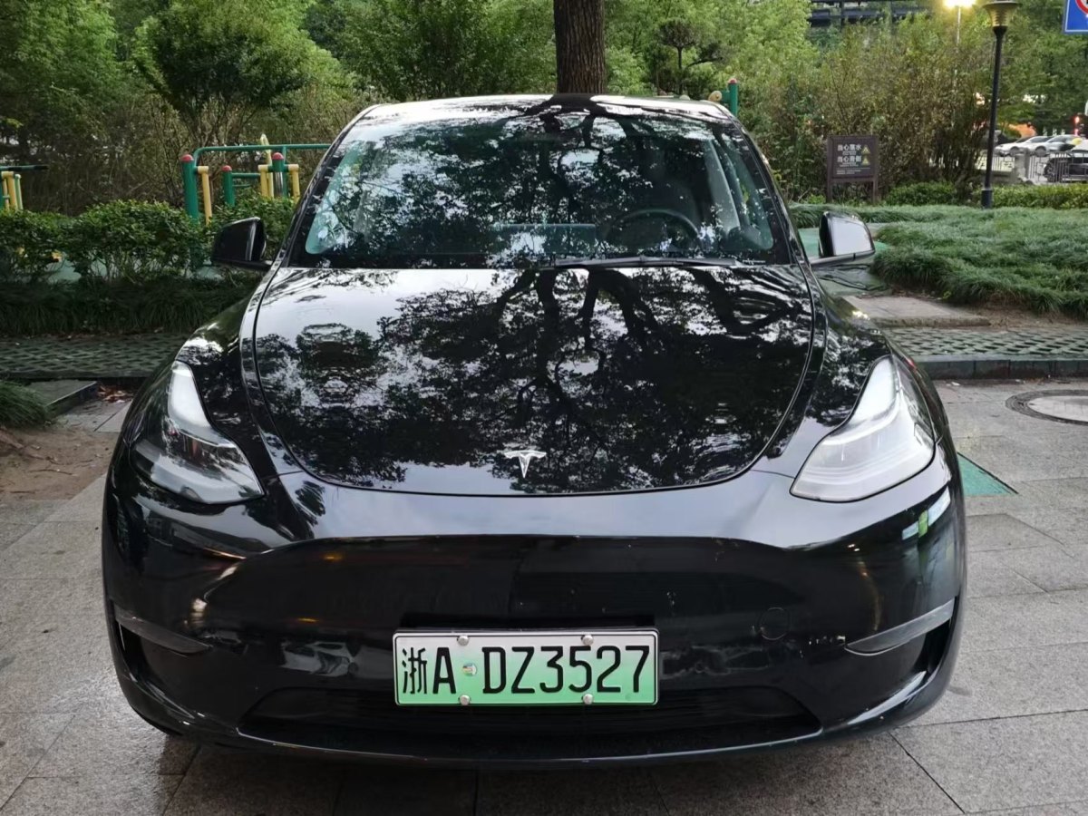 特斯拉 Model Y  2021款 改款 標準續(xù)航后驅(qū)升級版圖片