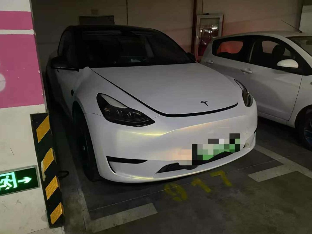 特斯拉 Model 3  2022款 Performance高性能全輪驅(qū)動版圖片